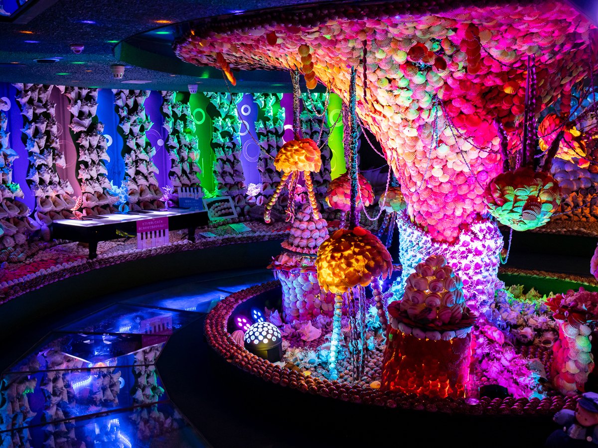 🐠 다케시마 판타지관(타케시마 환타지-칸) 이미지 8